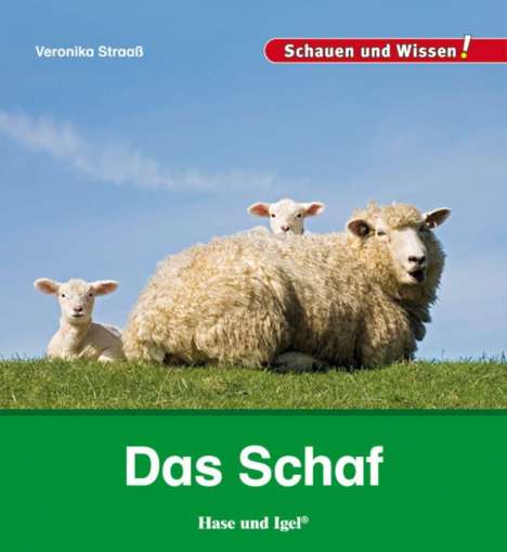 Veronika Straaß: Das Schaf, Buch