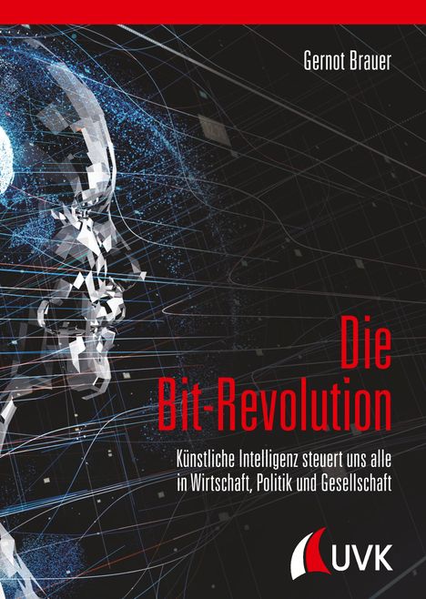 Gernot Brauer: Die Bit-Revolution, Buch