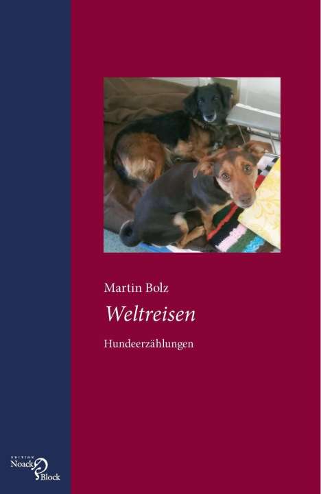 Martin Bolz: Bolz, M: Weltreisen, Buch