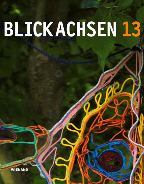 Blickachsen 13, Buch