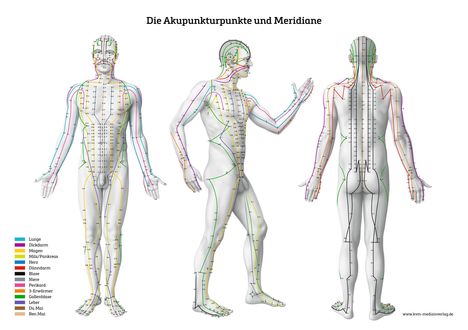 Lernposter - Die Akupunkturpunkte und Meridiane, Diverse