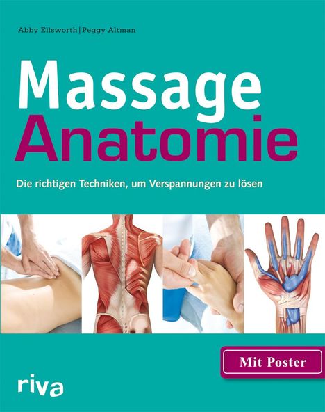 Abby Ellsworth: Massage-Anatomie, Buch