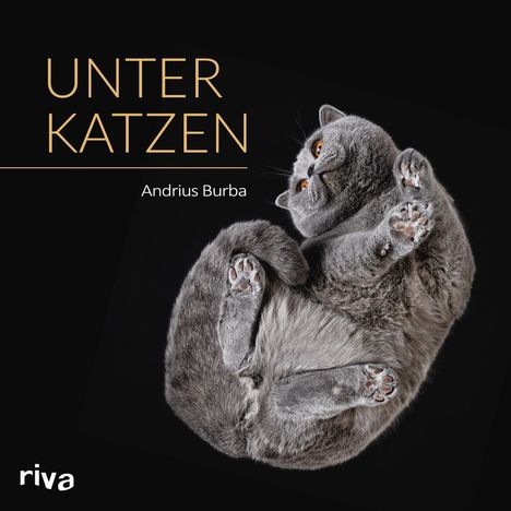 Andrius Burba: Unter Katzen, Buch