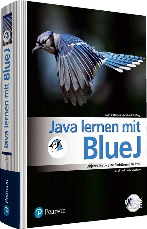 David J. Barnes: Java lernen mit BlueJ, Buch