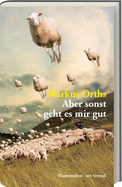 Markus Orths: Aber sonst geht es mir gut, Buch