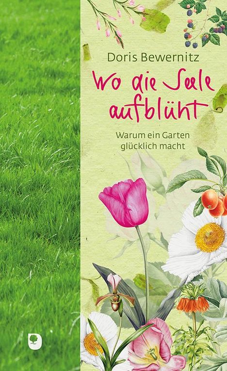 Doris Bewernitz: Wo die Seele aufblüht, Buch