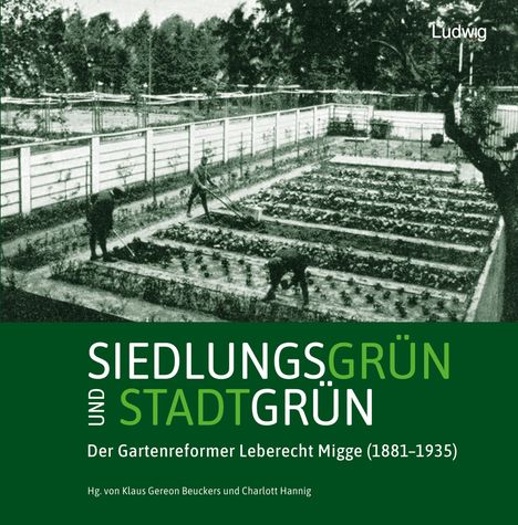 Siedlungsgrün und Stadtgrün. Der Gartenreformer Leberecht Migge (1881-1935), Buch