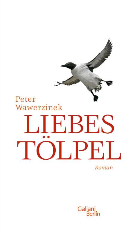Peter Wawerzinek: Liebestölpel, Buch