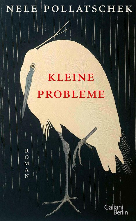 Nele Pollatschek: Kleine Probleme, Buch