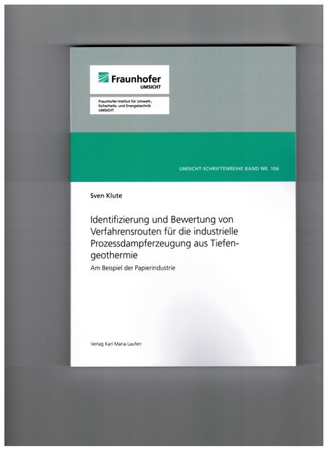 Sven Klute: Identifizierung und Bewertung von Verfahrensrouten für die industrielle Prozessdampferzeugung aus Tiefengeothermie, Buch