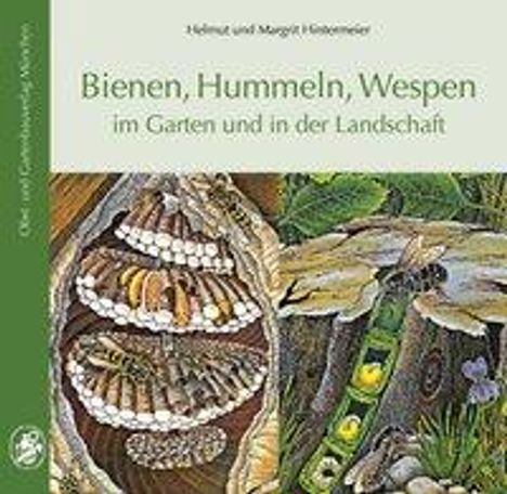 Helmut Hintermeier: Bienen, Hummeln, Wespen im Garten und in der Landschaft, Buch