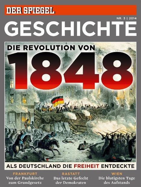 Die Revolution von 1884, Buch