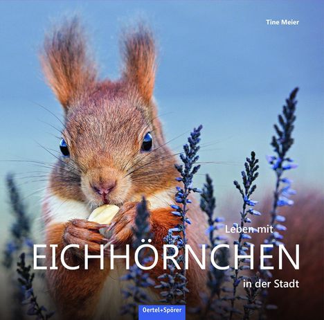Tine Meier: Leben mit Eichhörnchen in der Stadt, Buch