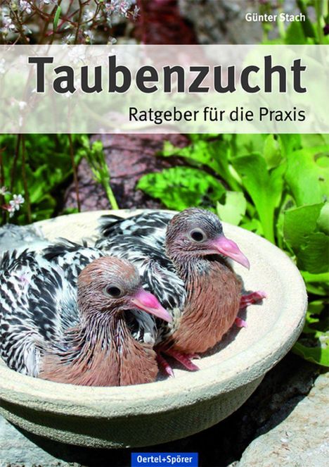 Günter Stach: Taubenzucht, Buch