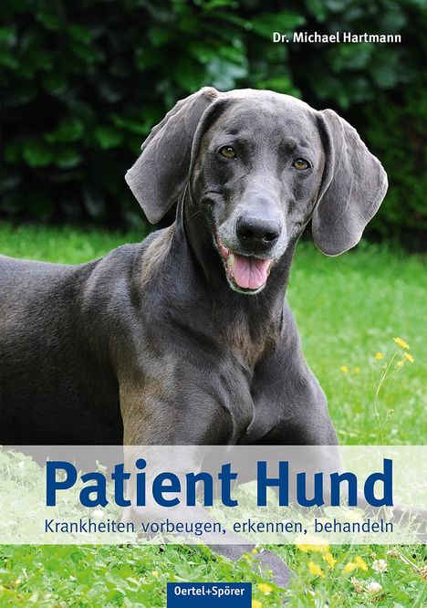 Michael Hartmann: Patient Hund, Buch