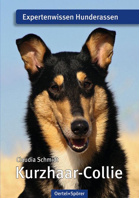Claudia Schmidt: Kurzhaar-Collie, Buch