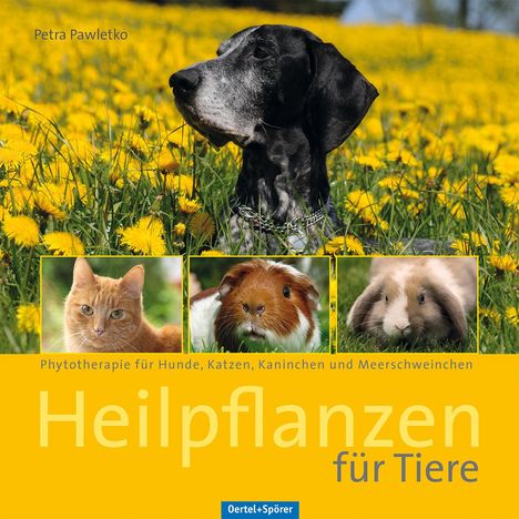 Petra Pawletko: Heilpflanzen für Tiere, Buch