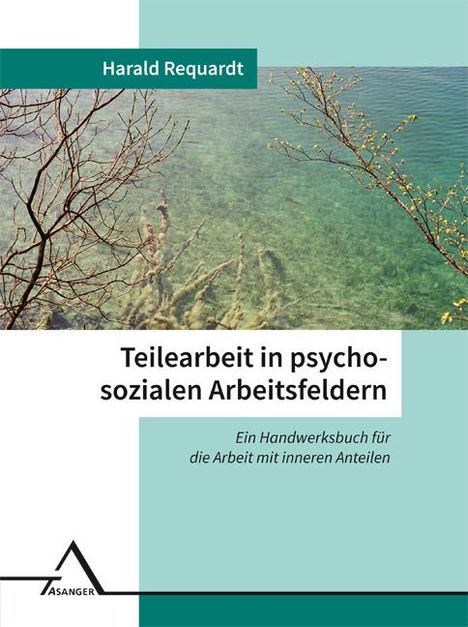 Harald Requardt: Teilearbeit in psychosozialen Arbeitsfeldern, Buch