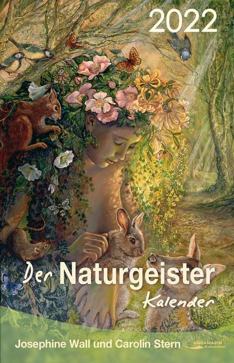 Carolin Stern: Stern, C: Naturgeister-Kalender 2022, Buch