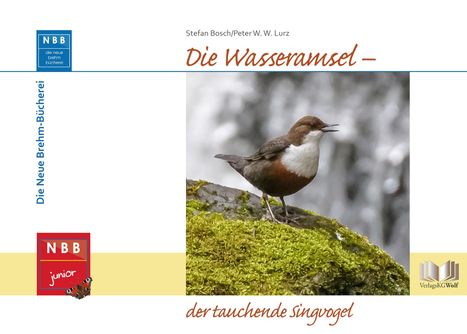 Stefan Bosch: Die Wasseramsel - der tauchende Singvogel, Buch