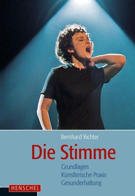 Bernhard Richter: Die Stimme, Buch