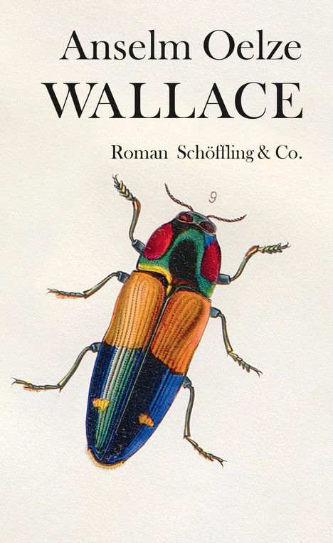 Anselm Oelze: Wallace, Buch