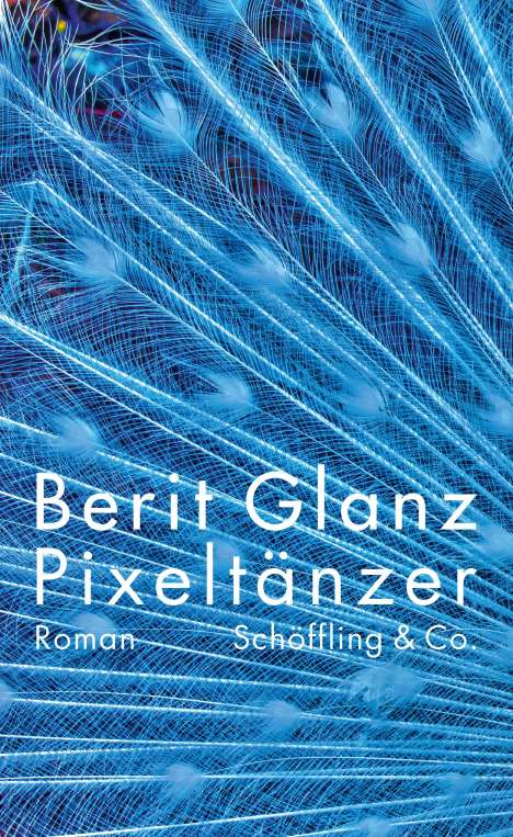 Berit Glanz: Pixeltänzer, Buch