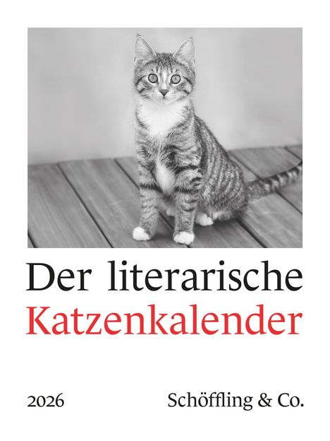 Julia Bachstein: Der literarische Katzenkalender 2026, Kalender