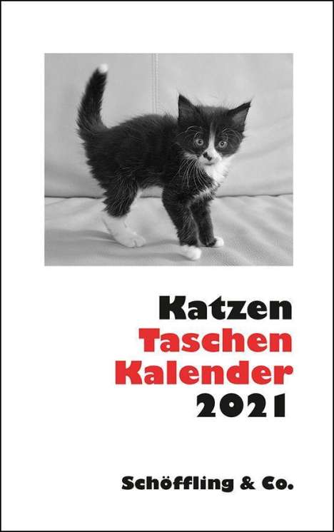 Katzen Taschenkalender 2021, Kalender