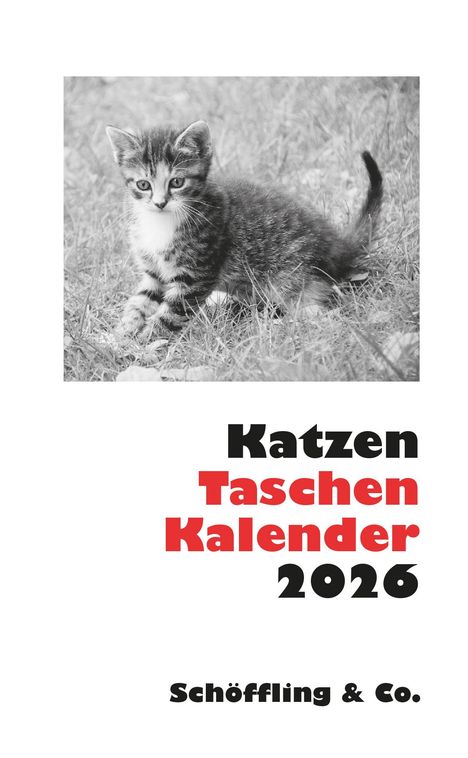 Julia Bachstein: Katzen Taschenkalender 2026, Kalender