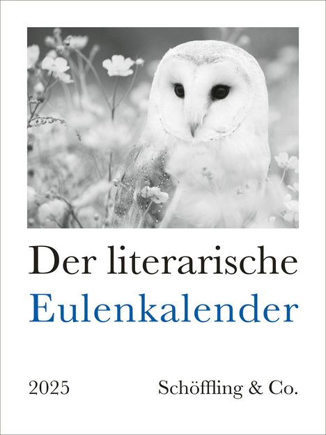 Julia Bachstein: Der literarische Eulenkalender 2025, Kalender