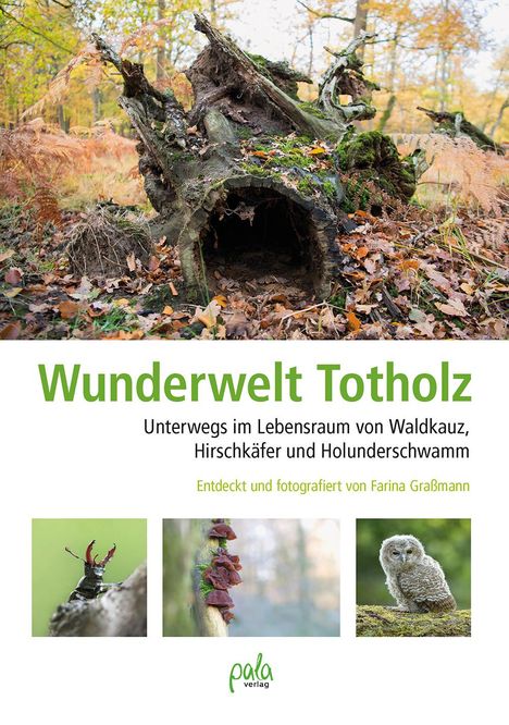 Farina Graßmann: Wunderwelt Totholz, Buch