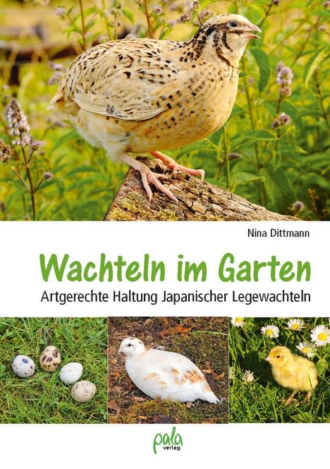 Nina Dittmann: Wachteln im Garten, Buch