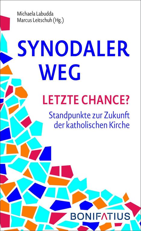 Synodaler Weg - Letzte Chance?, Buch