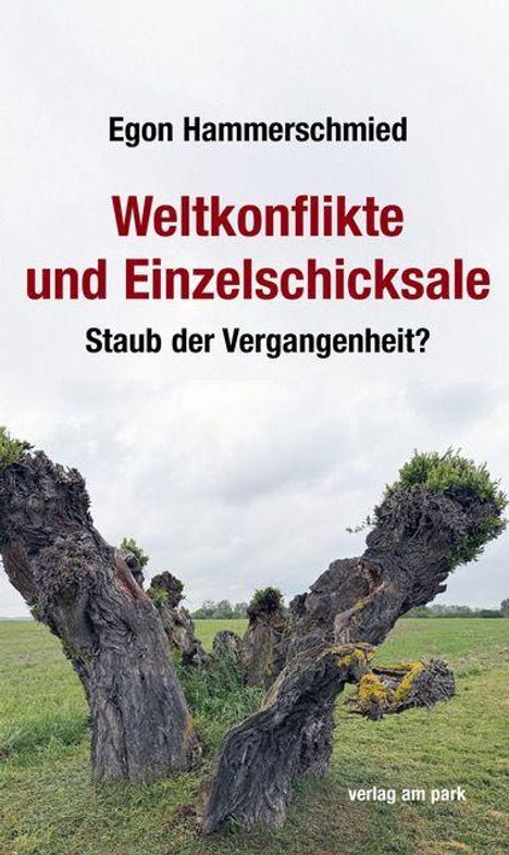 Egon Hammerschmied, Weltkonflikte und Einzelschicksale. Ein knorriger Baumstumpf auf einem Feld bei bewölktem Himmel.