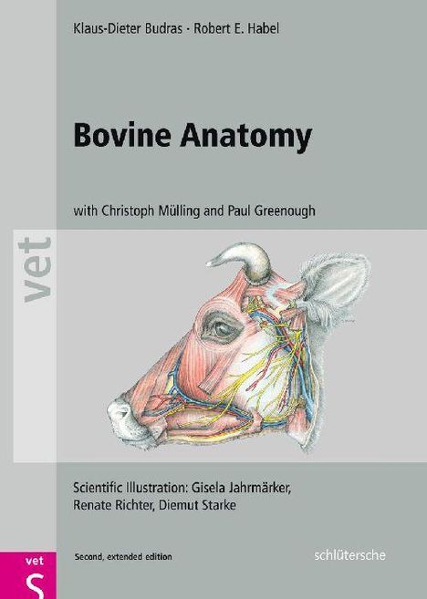 Klaus-Dieter Budras: Bovine Anatomy, Buch