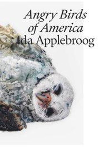 Jo Applin: Ida Applebroog, Buch