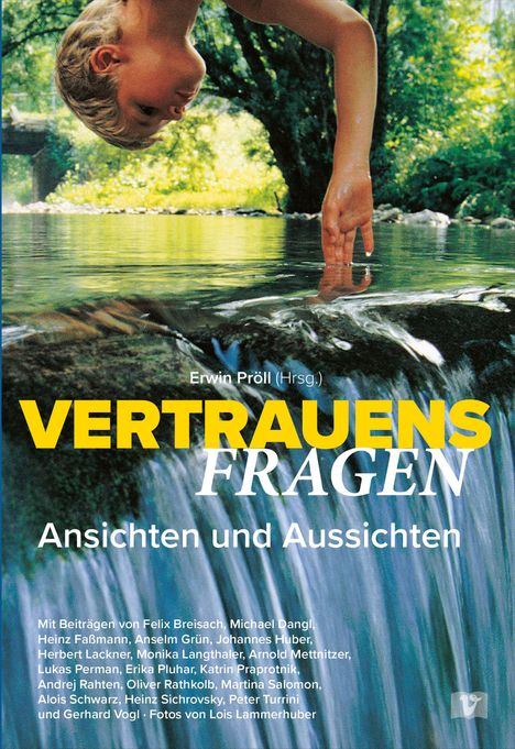 Vertrauensfragen - Ansichten und Aussichten, Buch