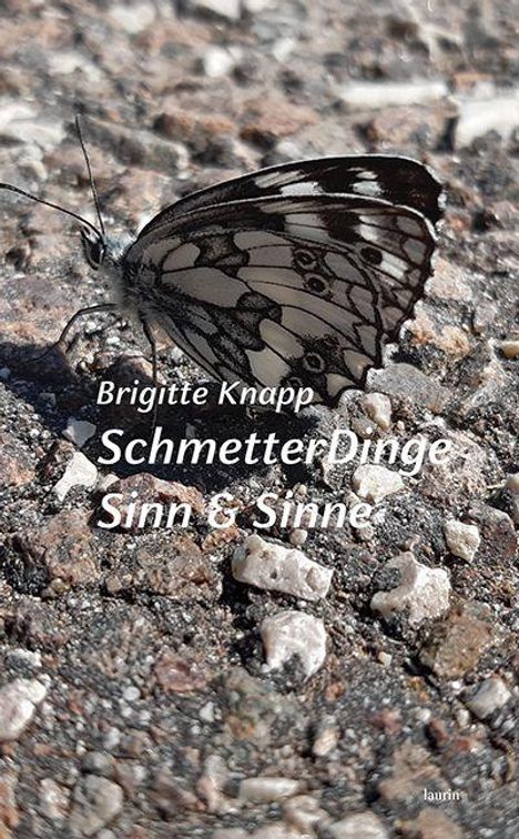 "Brigitte Knapp, SchmetterDinge, Sinn & Sinne, laurin." Ein Schmetterling auf einem steinigen Untergrund.