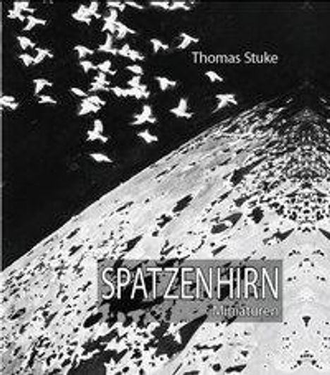 Thomas Stuke: Spatzenhirn, Buch