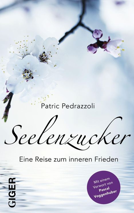 Patric Pedrazzoli: Pedrazzoli, P: Seelenzucker, Buch