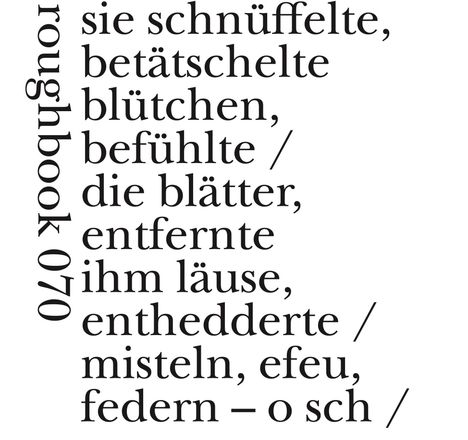 Text: "sie schnüffelte, betätschelte blütchen, befühlte / die blätter, entfernte ihm läuse, enthedderte / misteln, efeu, federn – o sch /". Links vertikal steht "roughbook 070".