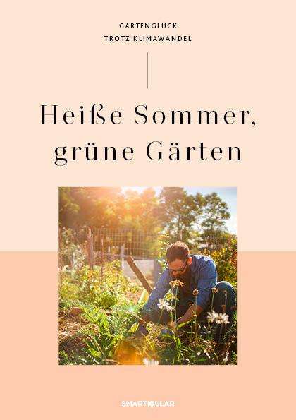 Heiße Sommer, grüne Gärten, Buch