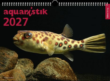 "Aquaristik 2027" und "Dähne Verlag" stehen auf einem Kalendercover mit einem gepunkteten Kugelfisch vor dunklem Hintergrund.