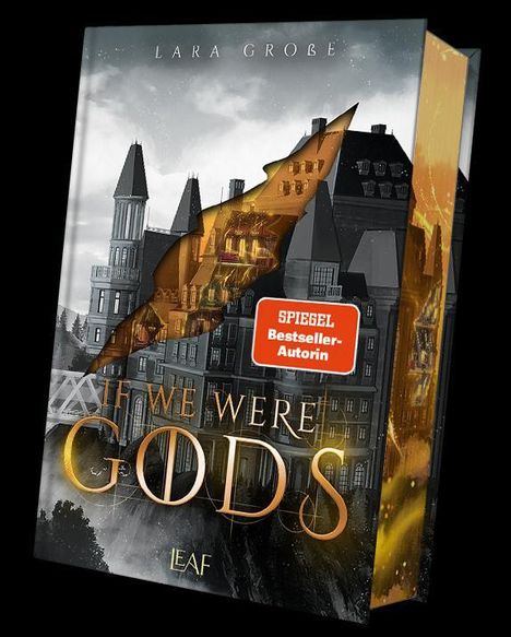 Lara Große: If We Were Gods, Buch