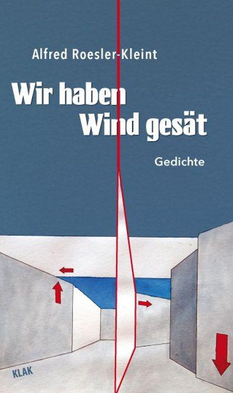 Alfred Roesler-Kleint: Wir haben Wind gesät, Buch