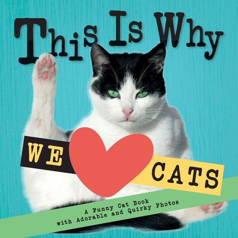 "This Is Why We ♥ Cats. A Funny Cat Book with Adorable and Quirky Photos." Eine Katze mit erhobener Pfote.