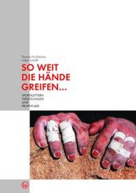 Thomas Hochholzer: So weit die Hände greifen..., Buch