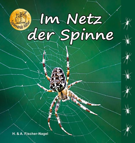 Heiderose Fischer-Nagel: Im Netz der Spinne, Buch