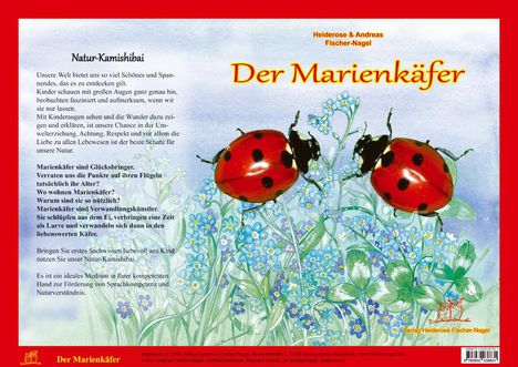 Heiderose Fischer-Nagel: Natur-Kamishibai - Der Marienkäfere, Buch